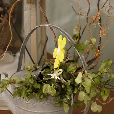 D'hotes L'ecrin Des Saveurs